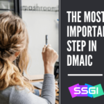 dmaic