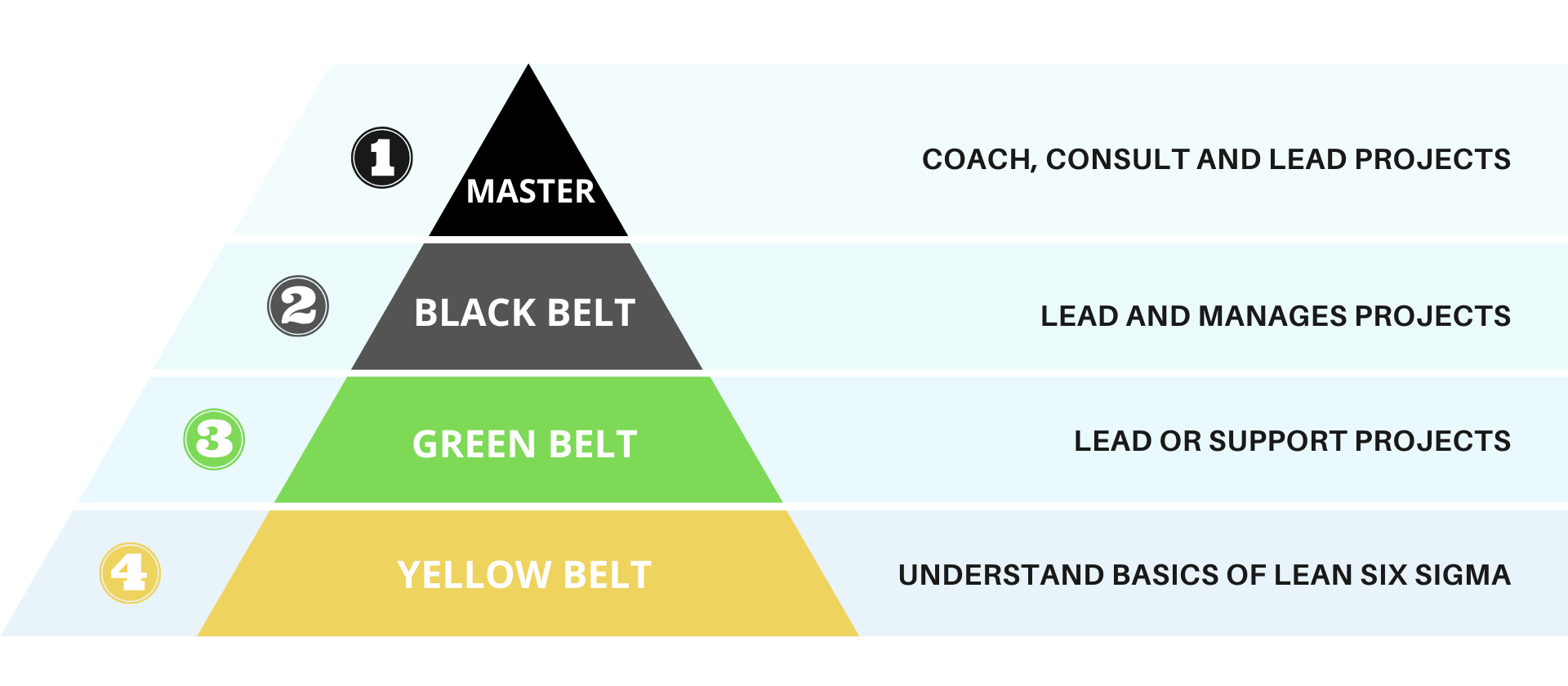 six sigma belt roles