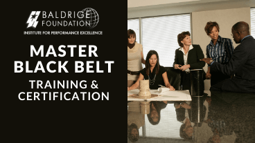 Master Black Belt Course Graphic