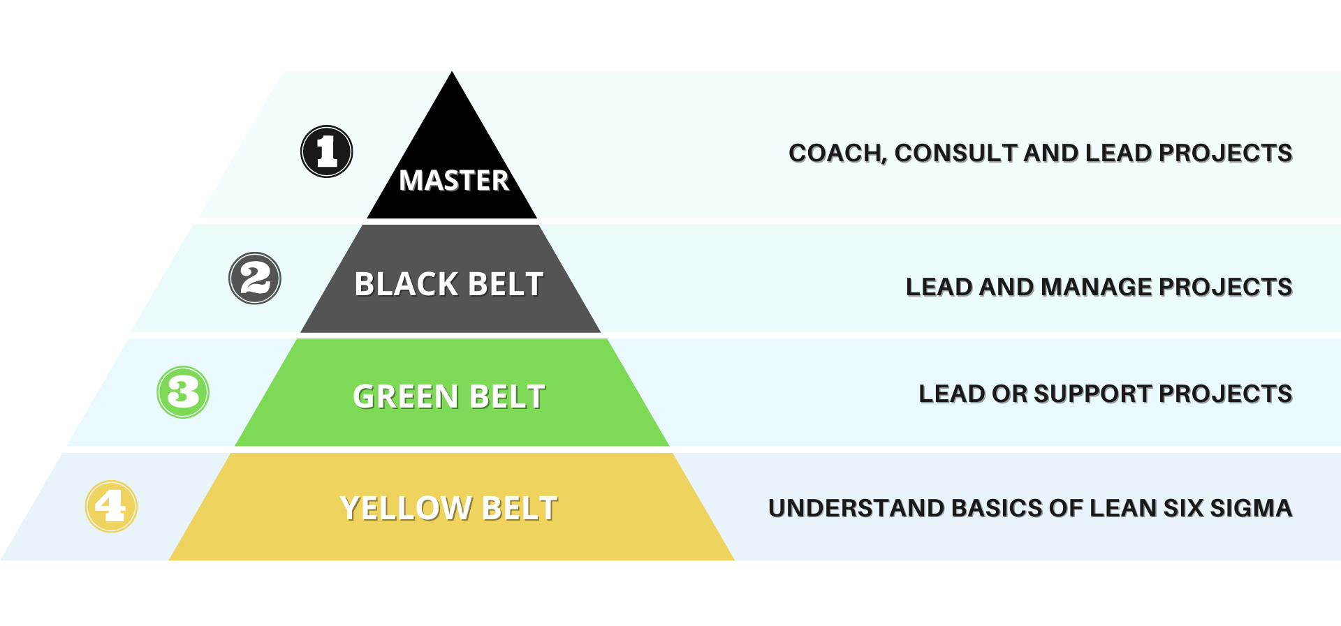 Six Sigma Belt Colors