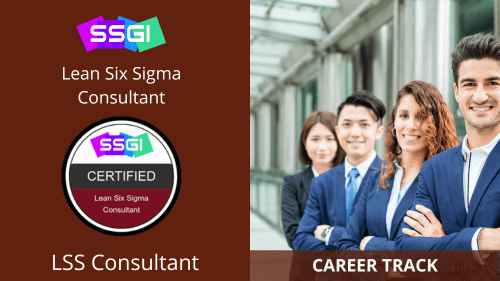 Lean Six Sigma Consultant Career Track