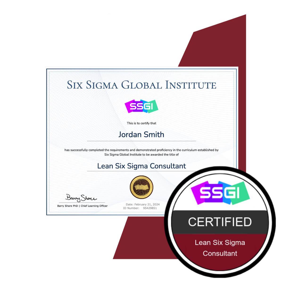 SSGI Lean Six Sigma Consultant