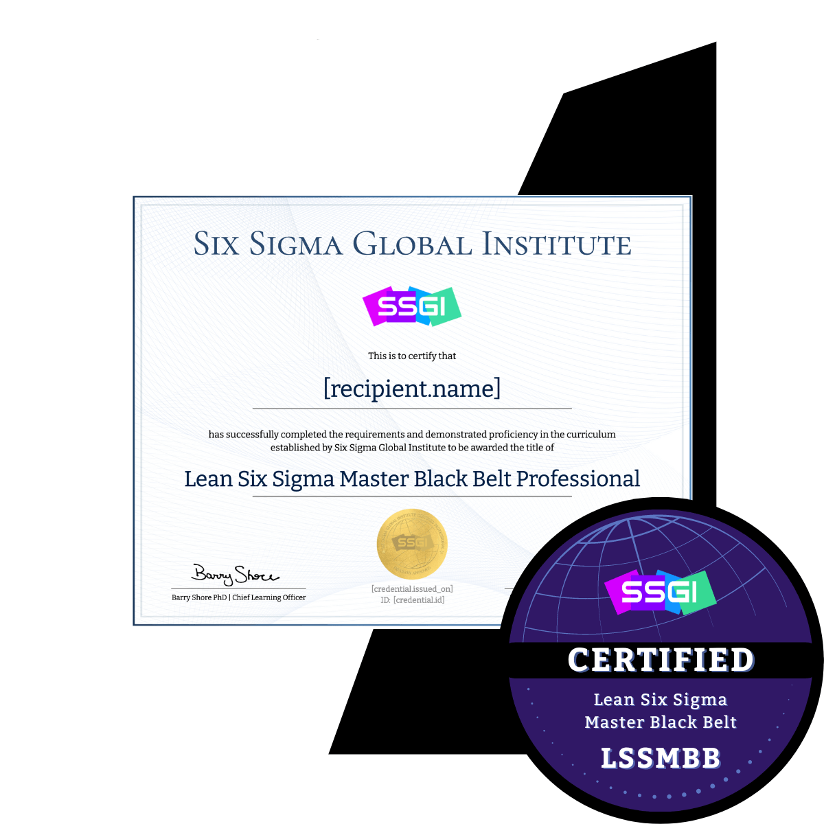Six Sigma Master Black Belt Certification