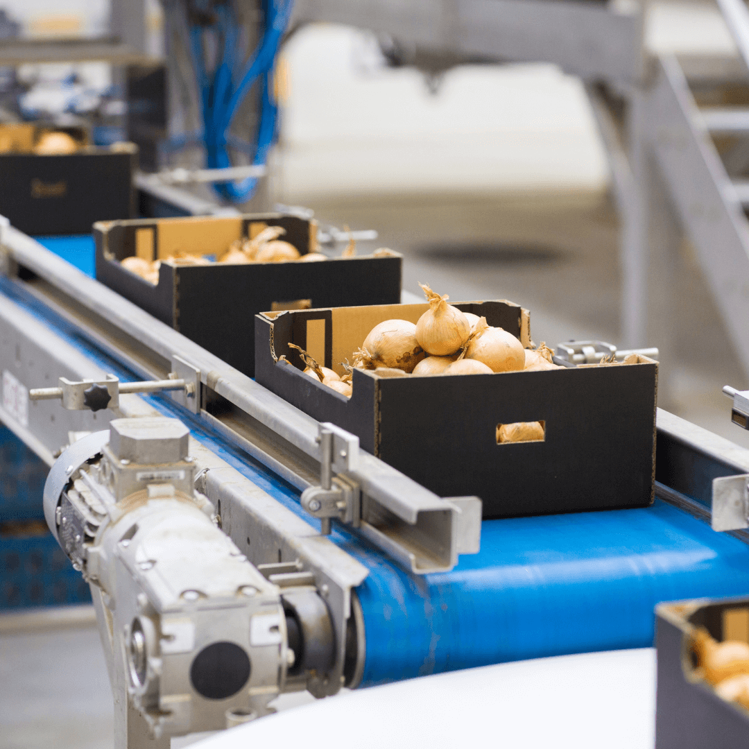 LEAN SIX SIGMA in Food operations